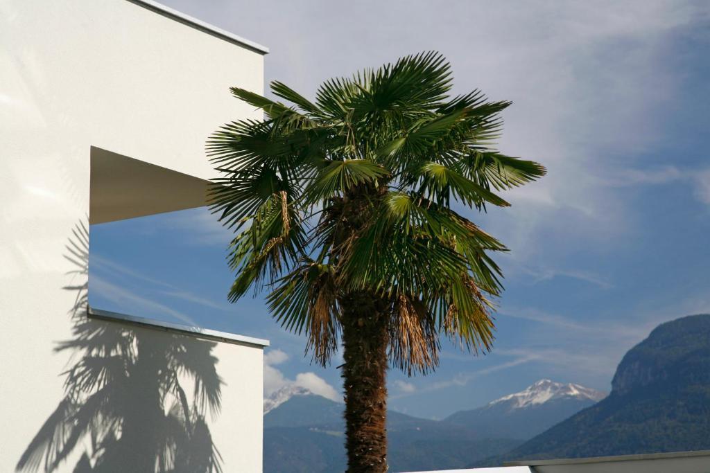 Hotel Residence Pernhof Termeno Exterior photo